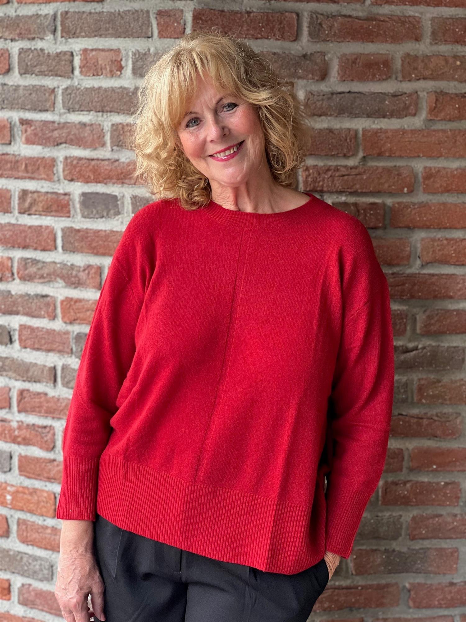 MaFabrice-red dahlia