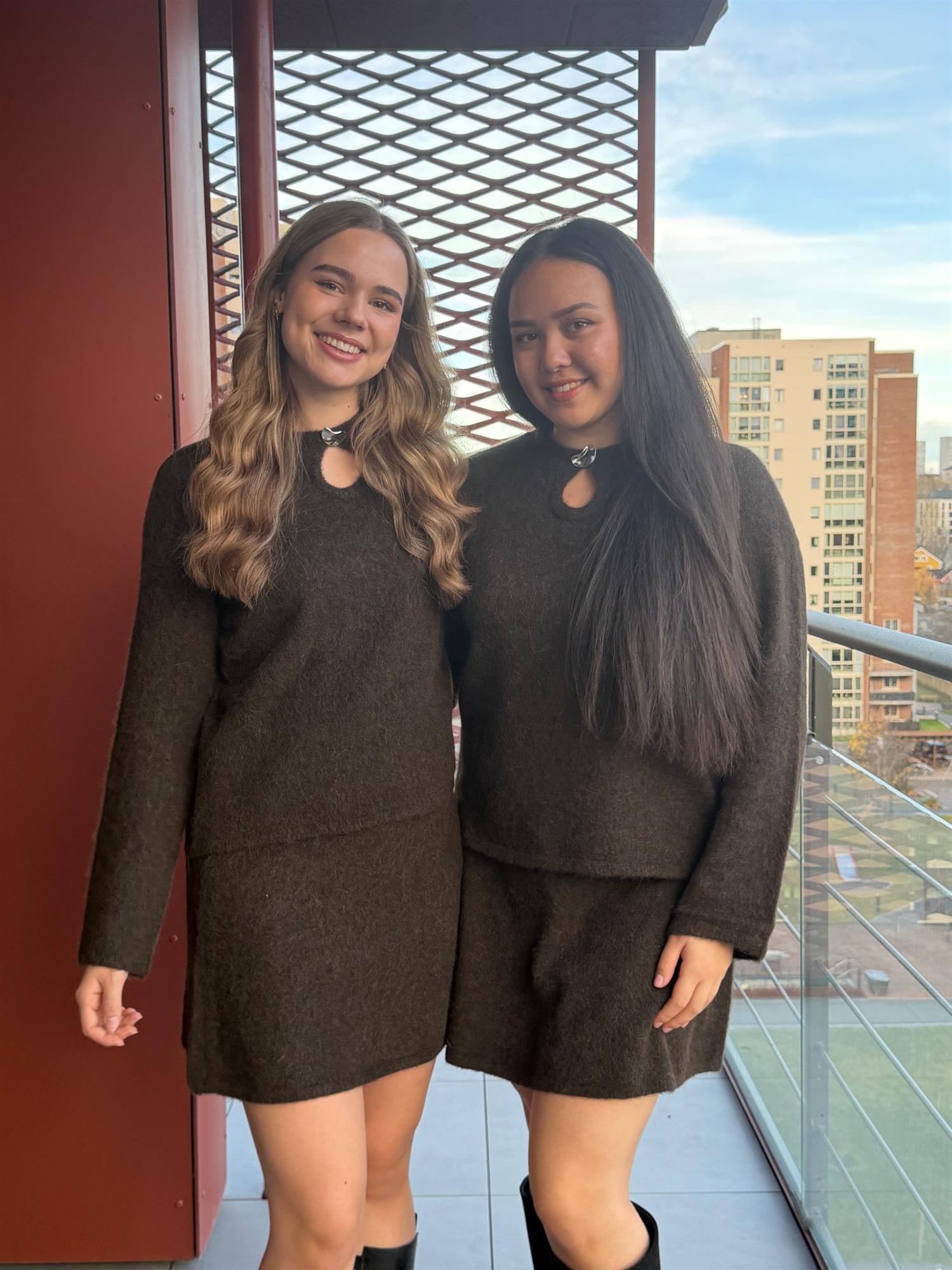 SLFLulu Brushed Knit skirt-brown